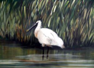 Peinture de roselyne halluin: L'oiseau en Baie de Somme