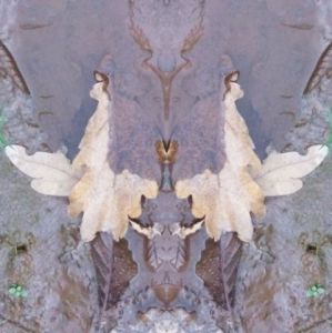 Photo de Onasia: Couple