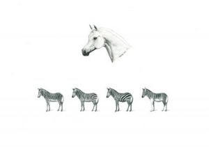 Dessin de Philippe: Serie des Zèbres -1-