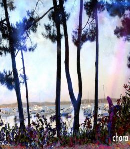 Photo de chara: Bassin Arcachon Tendresse- Aerium Arès