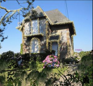 Photo de chara: Vasterival Melody - Normandie 2012-Peinture 3D sur photo