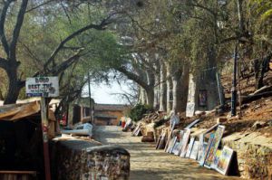 Photo de luc diouf: allée  des  baobabs  île  de Gorée