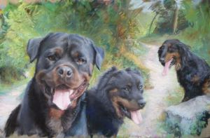 Dessin de Th Hutin: les trois amis