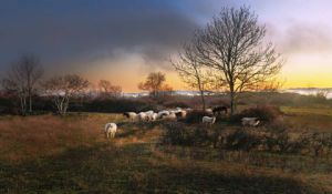Photo de Xavier Rambaud: Plateau de Gergovie