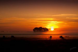 Photo de Gerald BOHIC: Brume enigmatique