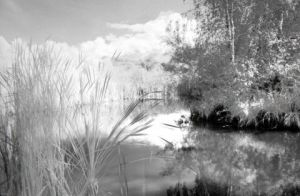 Photo de Renatus: Etang de Jarrie