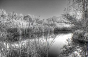 Photo de Renatus: Etang de Jarrie