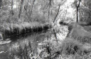 Photo de Renatus: Etang de Jarrie