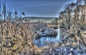 Photo de Renatus: Etang de Jarrie