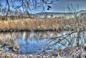 Photo de Renatus: Etang de Jarrie