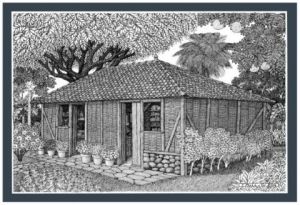 Dessin de Francois MOLL: 05 - Case Ti Bom - Beaufond - Trois Ilets  - Martinique