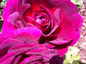 Photo de Beyla Lavana: Intense