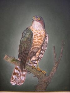 Peinture de RA FREDERICK: l'attente