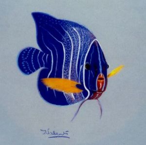 Dessin de Francoise Valentin: Petit prince