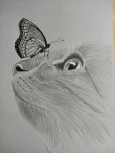 Dessin de Nenette: Rencontre