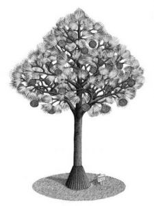 Dessin de Francois MOLL: BAKOUA