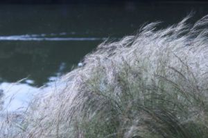 Photo de Doriane Metz: Parc Montsouris