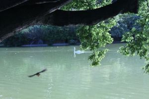 Photo de Doriane Metz: Parc Montsouris