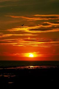 Photo de Vincent Jourdan: Twilight (01)