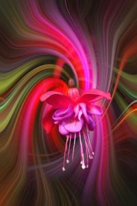 Photo de Dreams 14: La fée Clochette