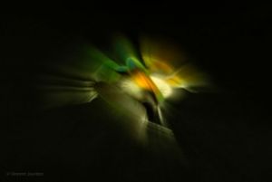 Photo de Vincent Jourdan: Plumes & Coquillages