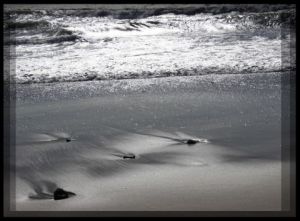 Photo de Doriane Metz: Reflet de Bord de Mer