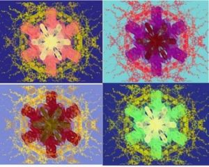 Art_numerique de Princesse d'Isangel: quadriptique orchidees