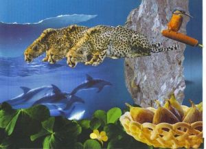 Collage de nath: Source de vie