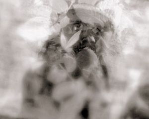 Photo de natacha: Tous les enfants naissent dans les roses