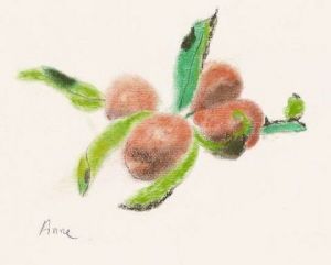 Dessin de paradisianna: Nature morte