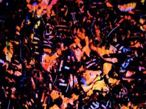 Oeuvre de WAHID ITIM: sans titre