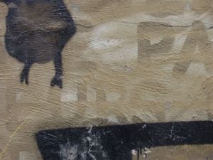 Photo de michel Leger: Trace 2