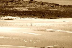 Photo de foundryprod: Promeneur sur la greve