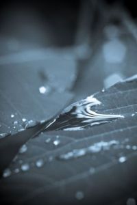 Photo de jean-francois dupuis: Nature morte