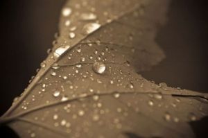 Photo de jean-francois dupuis: Concepts