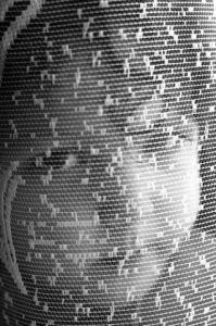 Photo de jean-francois dupuis: Marie