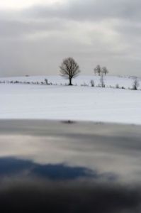 Photo de jean-francois dupuis: Nature morte