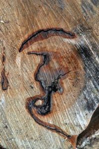 Photo de Ginette BRUNEL: Personnage