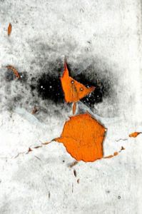 Photo de Ginette BRUNEL: Chat nature