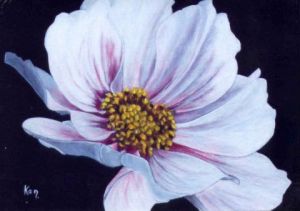 Peinture de KAN: Gracile cosmos