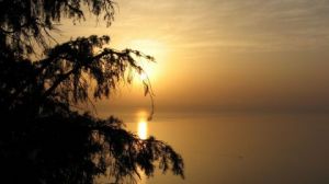 Photo de EdVautier: Ombre orangee