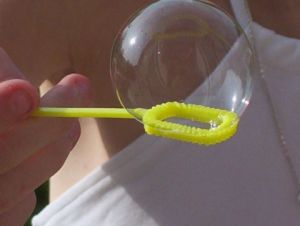 Photo de coccinelle: bulle