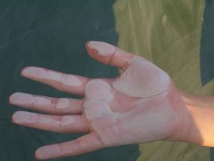 Photo de coccinelle: main