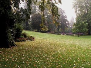 Photo de JYHEL: BRUME SUR LE PARC