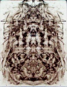 Art_numerique de philippe guesdon: icone 2