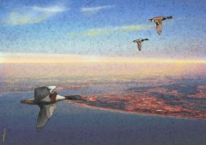 Art_numerique de Alexei: Baie de Somme