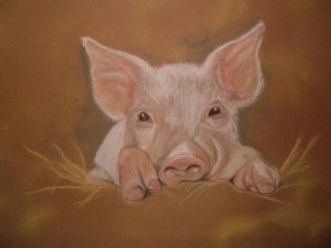 Dessin de atanchon: petit cochon