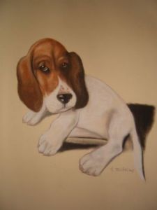 Dessin de atanchon: cabo 1