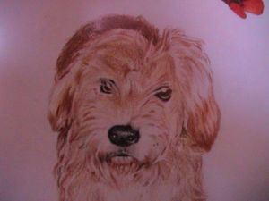 Dessin de Martin ALAKSIN PATROS: Froufrou