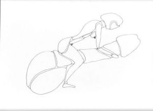 Dessin de philousage: La moto